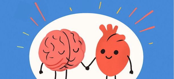 From the brain to the classroom